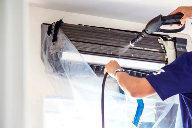 Best Affordable Duct Cleaning Services  in Argentine, MI