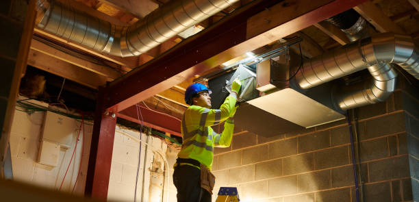Best Professional Duct Cleaning Services  in Argentine, MI