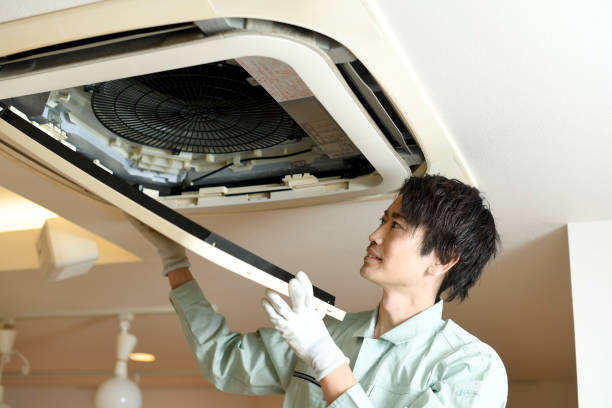 Best Air Duct Cleaning Near Me  in Argentine, MI