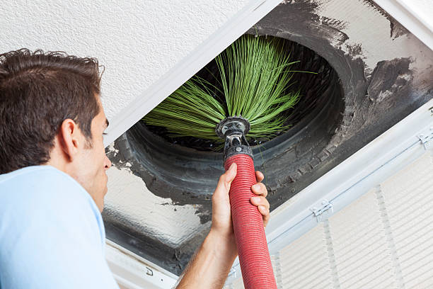 Best Air Duct Cleaning Near Me  in Argentine, MI