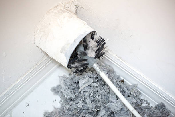 Best Best Air Duct Cleaning Company  in Argentine, MI