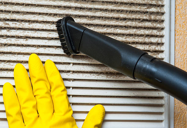 Best HVAC Air Duct Cleaning  in Argentine, MI