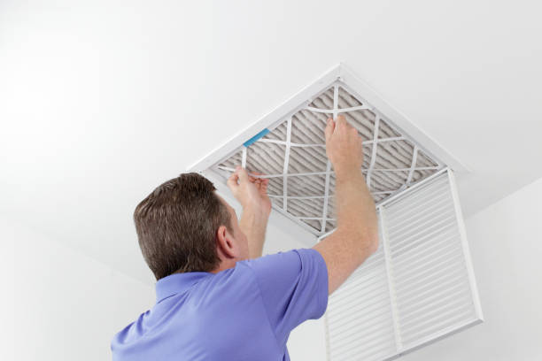 Best HVAC System Cleaning  in Argentine, MI